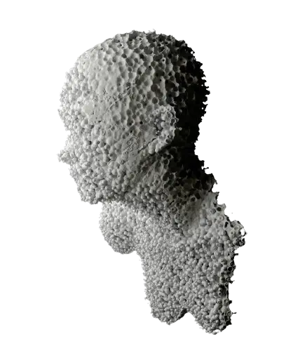 marek-pavlik-axWg5Wj4G08-unsplash-removebg-preview